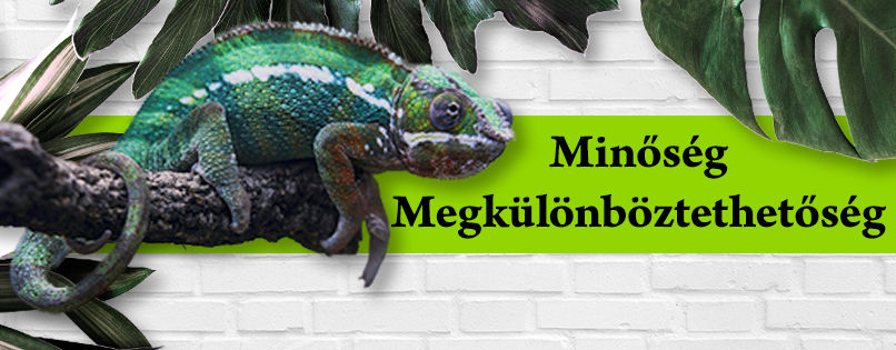 Minőség megkülönböztethetőség