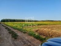 Hajdúnánás Mezőgazdasági terület