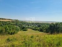 For sale agricultural area Mány, 6835m2