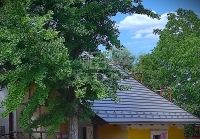 Felcsút Családi ház