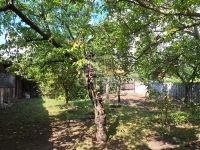 Bicske Családi ház