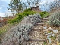 Alcsútdoboz Családi ház