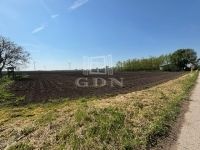 Eladó telek Kisigmánd, 1304m2