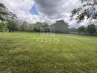 Bana Fejlesztési terület