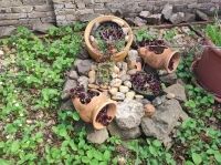 Mohács Családi ház