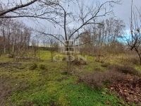 Bácsbokod Családi ház