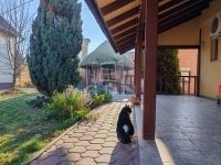 Császártöltés Családi ház