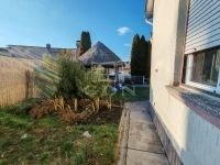 Császártöltés Családi ház