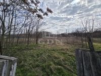 Madaras Családi ház