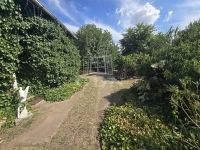 Borota Családi ház