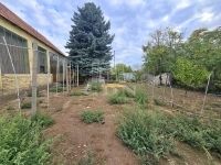 Madaras Családi ház