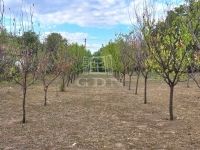 Madaras Családi ház