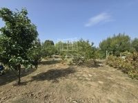 Szászvár Családi ház