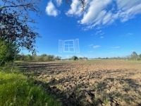 Eladó telek Zsombó, 6163m2