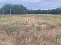 Eladó telek Mórahalom, 6000m2