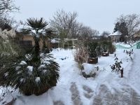 Őrbottyán Családi ház