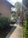 Dunaharaszti Semidetached house
