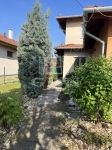Dunaharaszti Semidetached house