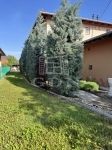 Dunaharaszti Semidetached house