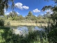 Dunaharaszti Nyaraló