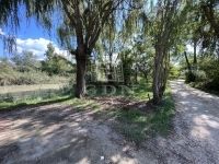 Dunaharaszti Nyaraló