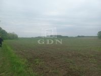 Budapest XXIII. kerület Mezőgazdasági terület