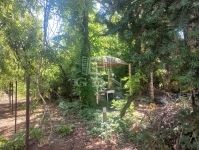 Kiskunlacháza Családi ház