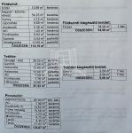 Dunaharaszti Családi ház