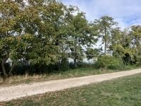 Kiskunlacháza Lakás (téglaépítésű)