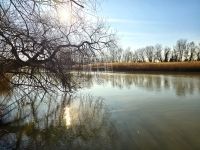 Dunaharaszti Családi ház