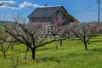 Eladó mezőgazdasági terület Edelény, 3714m2