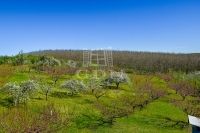 Edelény Mezőgazdasági terület