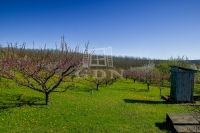 Edelény Mezőgazdasági terület