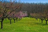 Edelény Mezőgazdasági terület