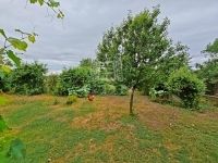 Edelény Családi ház