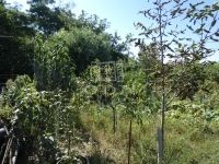 Vácrátót Családi ház