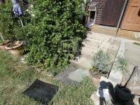 Vácrátót Családi ház