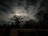 Szigetmonostor Családi ház