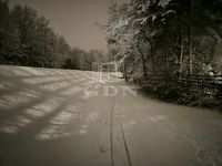 Szigetmonostor Családi ház