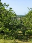 Vânzare teren pentru constructii Mogyoród, 1298m2
