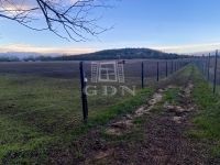 Mogyoród Mezőgazdasági terület