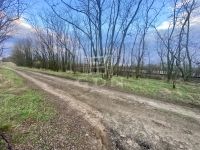 Mogyoród Mezőgazdasági terület