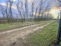 Mogyoród Mezőgazdasági terület