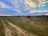 Mogyoród Mezőgazdasági terület