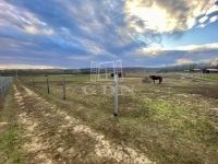 Mogyoród Mezőgazdasági terület