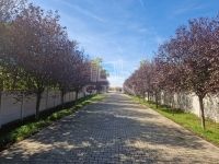 Kisapostag Ipari terület