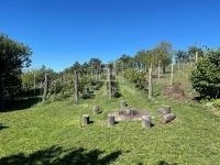 Balatonfüred Családi ház