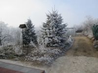 Pákozd Családi ház