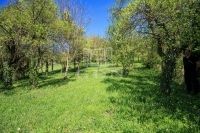 Biatorbágy Családi ház