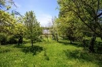 Biatorbágy Családi ház